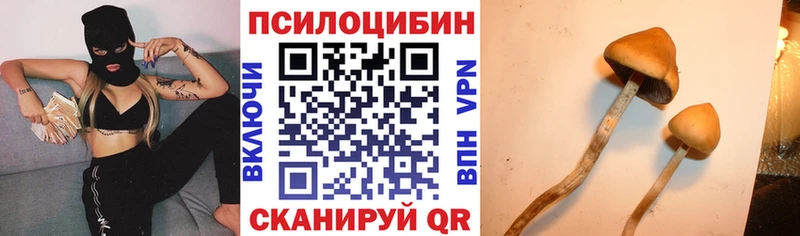 Псилоцибиновые грибы Cubensis  Костерёво 