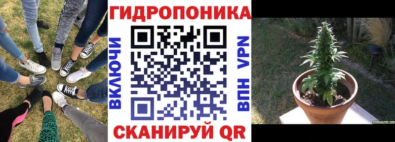 МЕГА ссылка  Костерёво  Канабис план 